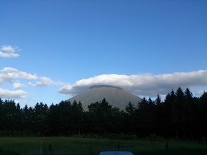 DSC_0343.jpg