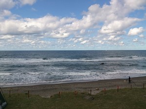 DSC_0362.jpg