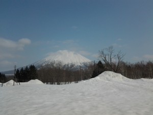 20140402_132405.jpg