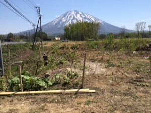 image1_2.jpeg