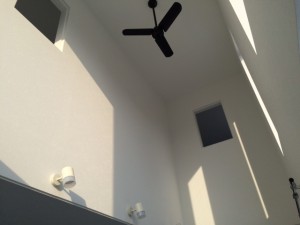 IMG_3682.JPG