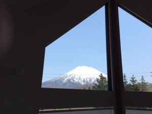 IMG_4246.JPG