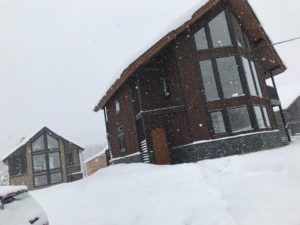 IMG_2507.JPG