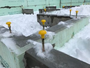 IMG_2509.JPG